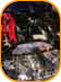 Tokyo Auto Salon '03 Gallery Image tas2003_096.jpg Thumbnail