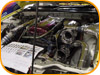 Tokyo Auto Salon '04 Gallery Image tas2004_097.jpg Thumbnail